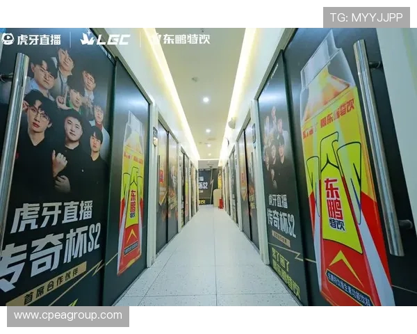 聚焦LPL电竞直播盛宴探索赛场激情与选手成长故事