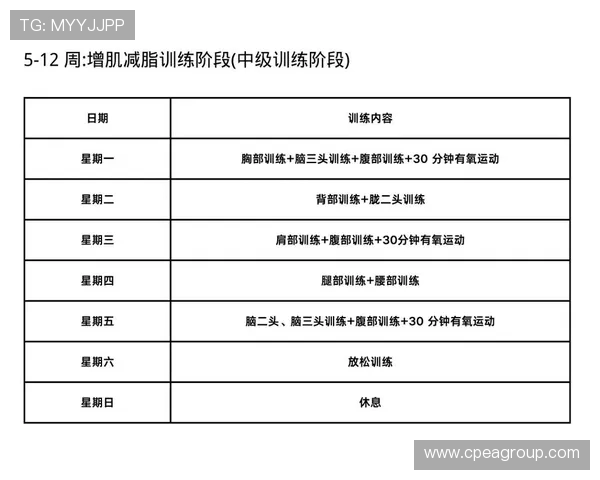 全面提升身体素质的健身计划 从基础力量训练到心肺耐力全方位指导