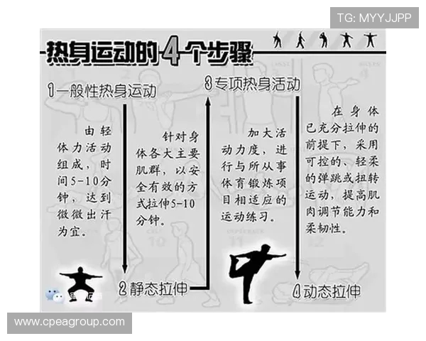 全面提升体能与运动表现的科学方法与训练技巧解析