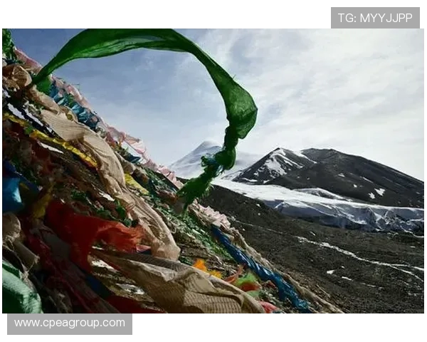 TES的崛起之路：从挑战到辉煌的世界大师赛全景回顾