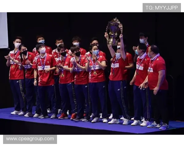 北京羽毛球队阵地战深度解析与未来发展展望