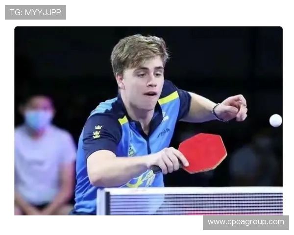 张丽的乒乓球人生深度对话探索她的奋斗与梦想之路