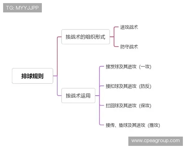 成都排球队防反体系解析与排球战术创新研究 成都排球队防反体系解析与排球战术创新研究