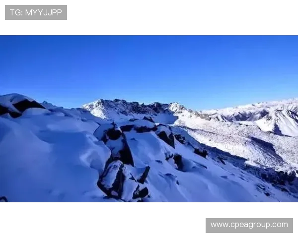 成都极限运动队战术解析:盯防打法的优势与应用探讨 成都极限运动队战术解析:盯防打法的优势与应用探讨