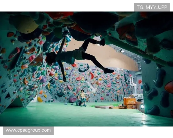 攀岩巨献：探秘上海攀岩队的团队协作