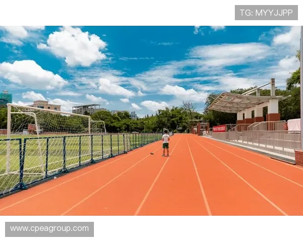 《探索体育运动的无限魅力与发展趋势:从全民健身到竞技体育的多元化发展》